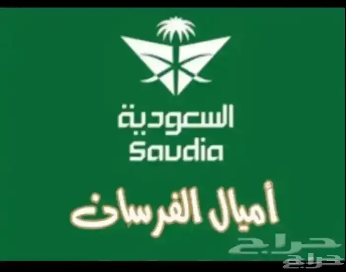 رحلات طيران بالاميال بسعر مناسب 0