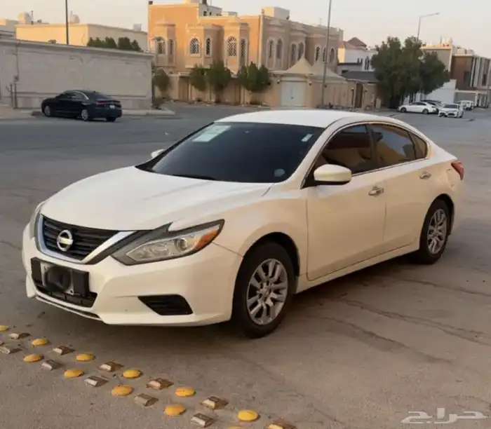 التيما 0