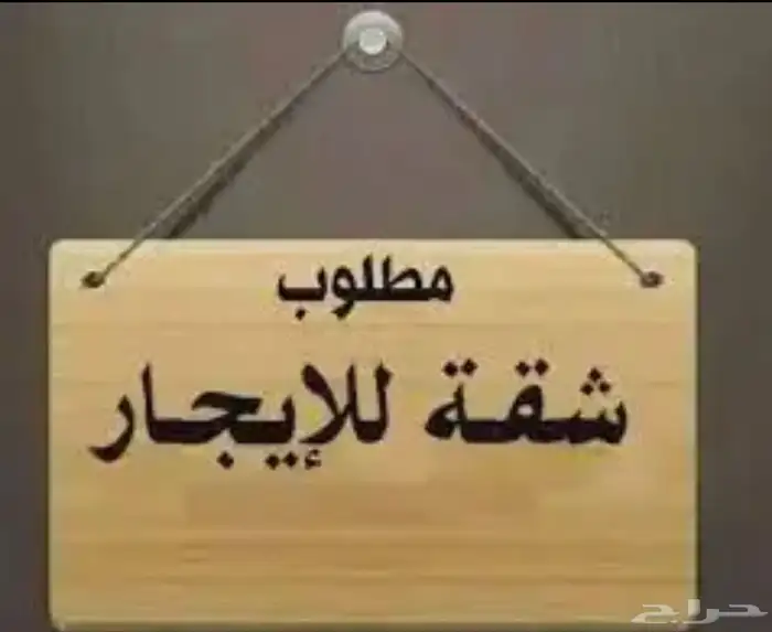 مطلوب شقه 0