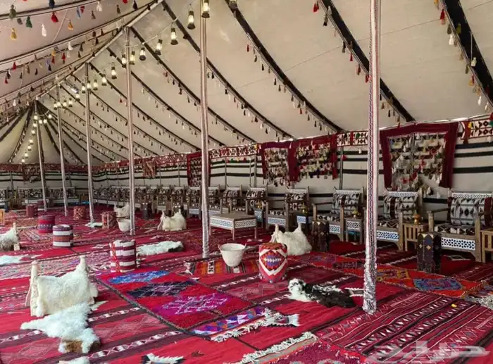 بيوت شعر جديدة وخيم صقور جميع المقاسات 23