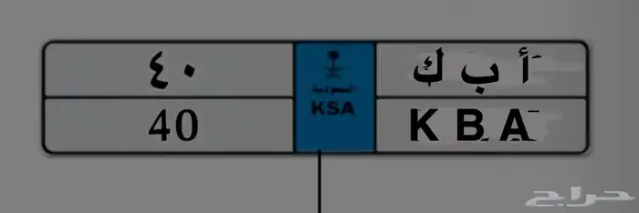 الاحساء لوحة مميزة 40 نقل 0