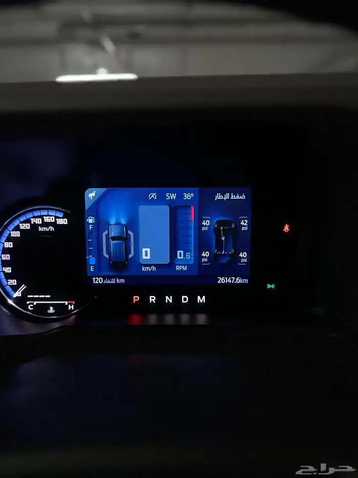 برنكو وايلد تراك V6 2021 34