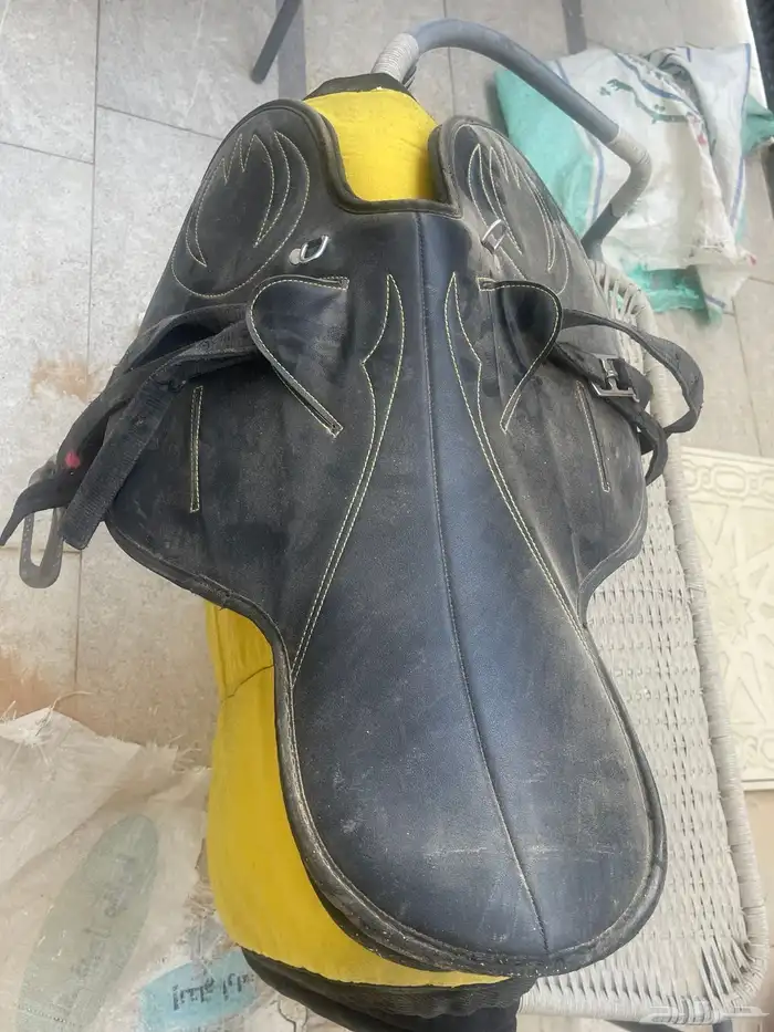 عدة خيل 6