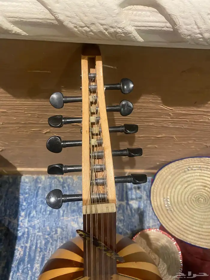عود بحريني 3