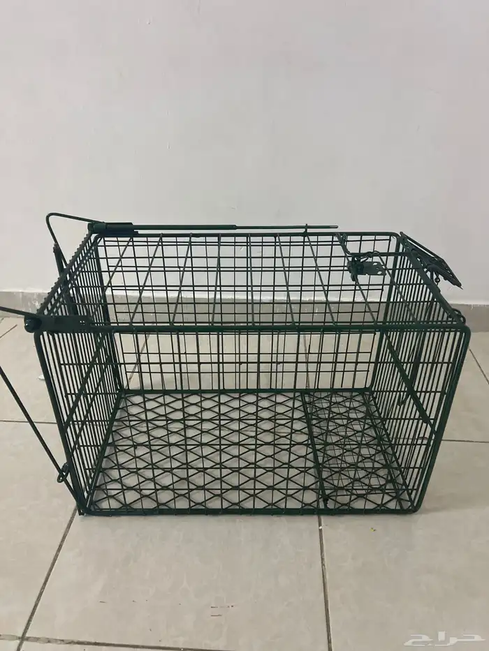 مصيده تمتيك 1