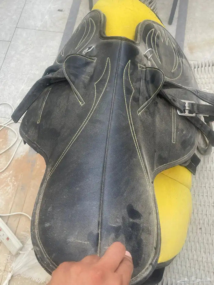 عدة خيل 2