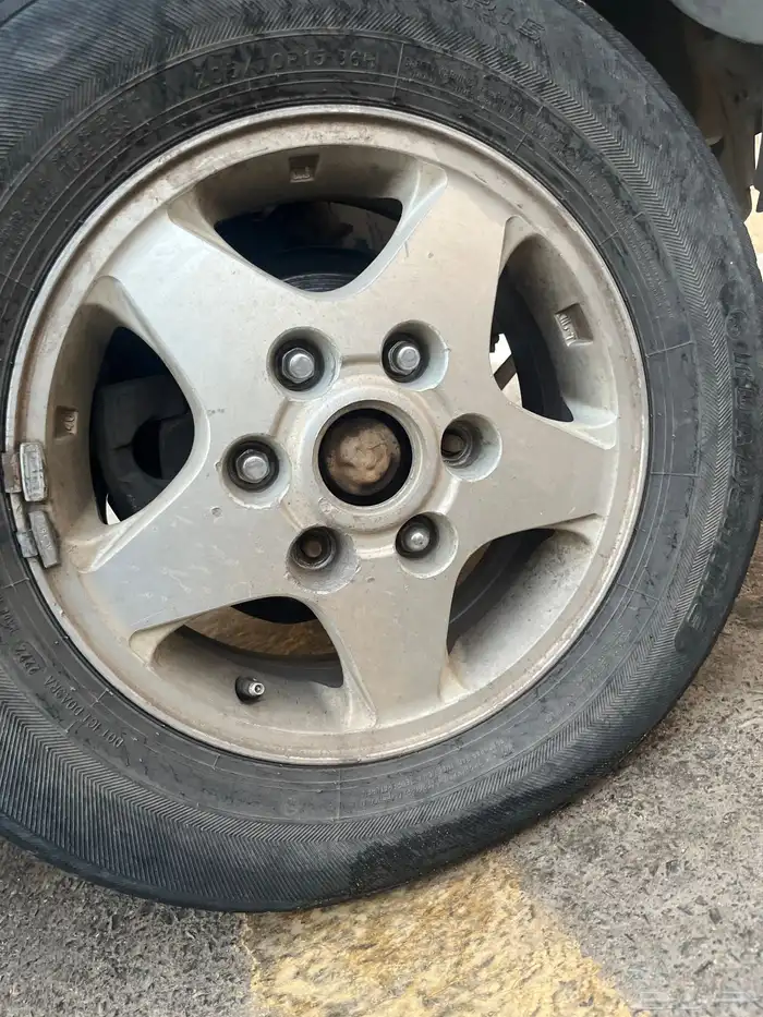 جنوط نجمه ددسن 2