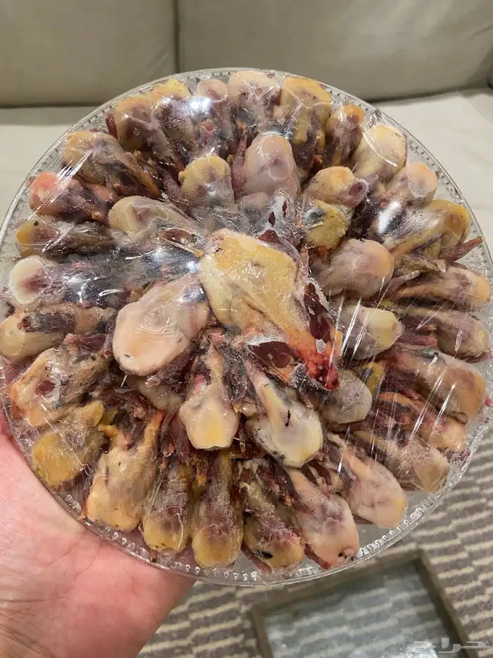 عصافير التين 0