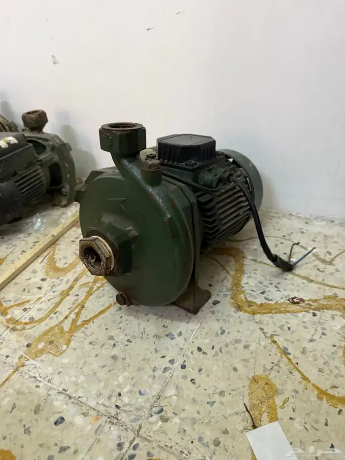 دنمو إيطالي 1