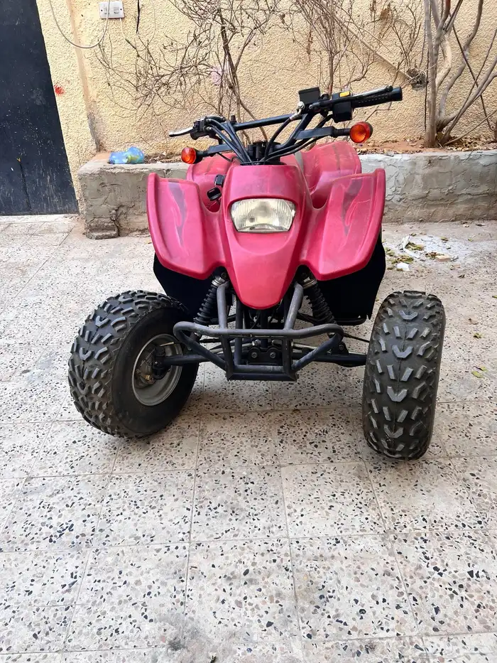 دباب سويدي 110 2