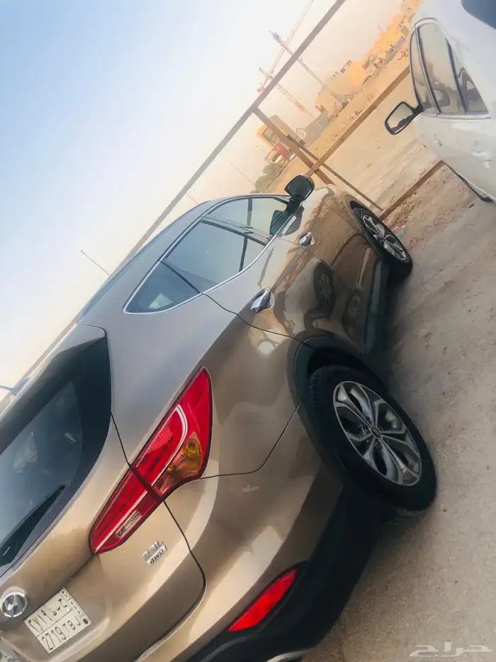 سنتافي 2014 4