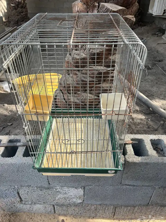 اقفاصه للبيع على على اسوم 1