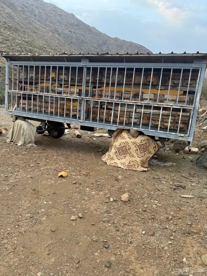 جنوب الطايف 2