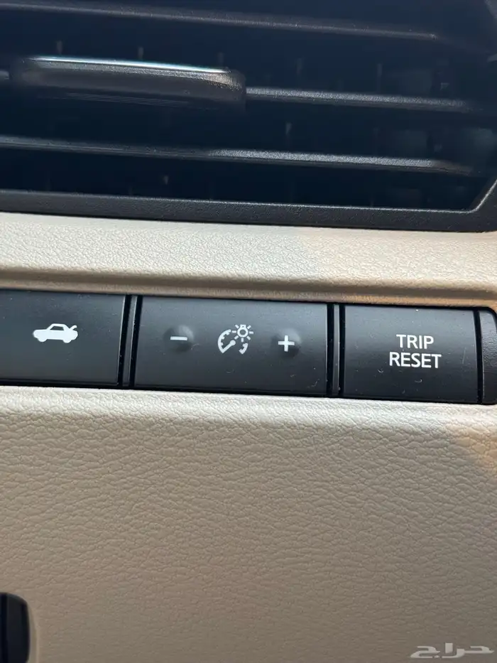 التيما 12
