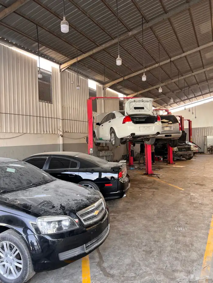 قير اكسبدشن 2020 مع ضمان سنه 10 نمر 7