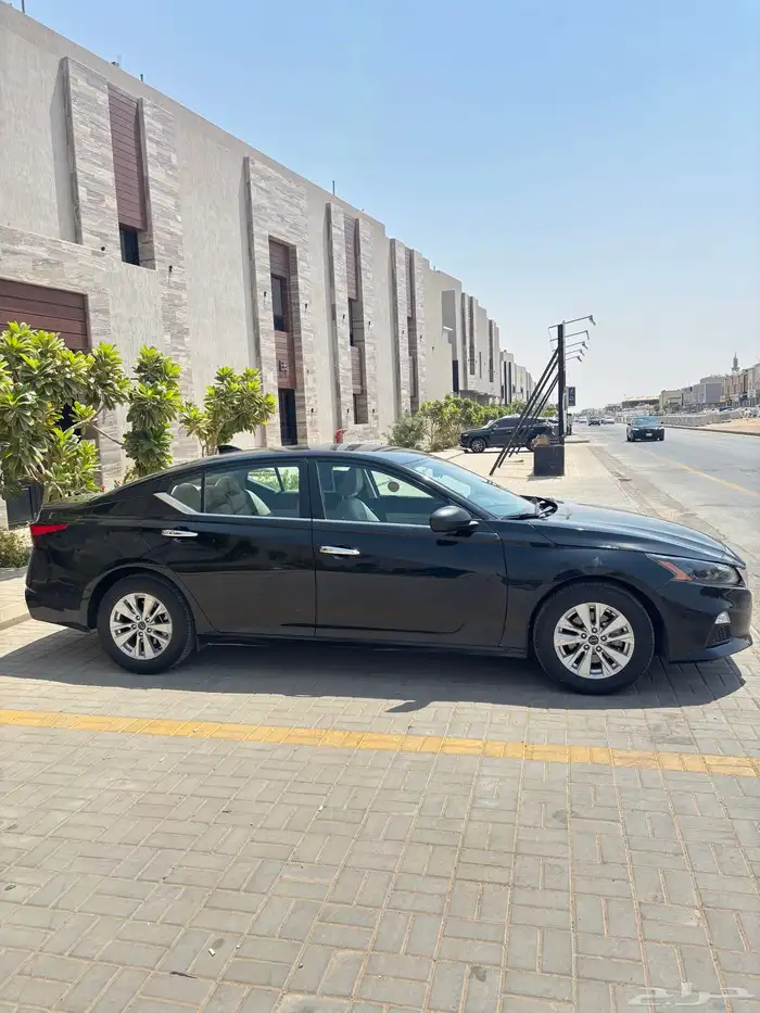 التيماء 2024 3