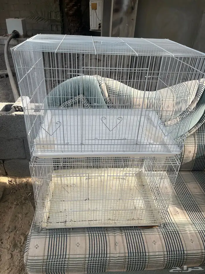 اقفاصه للبيع على على اسوم 3