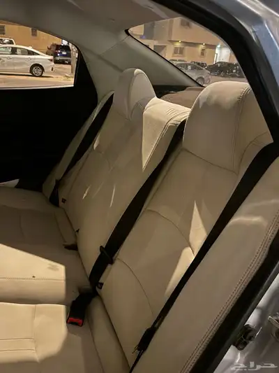 شانجان السفن بدي وكاله مافيه رش index