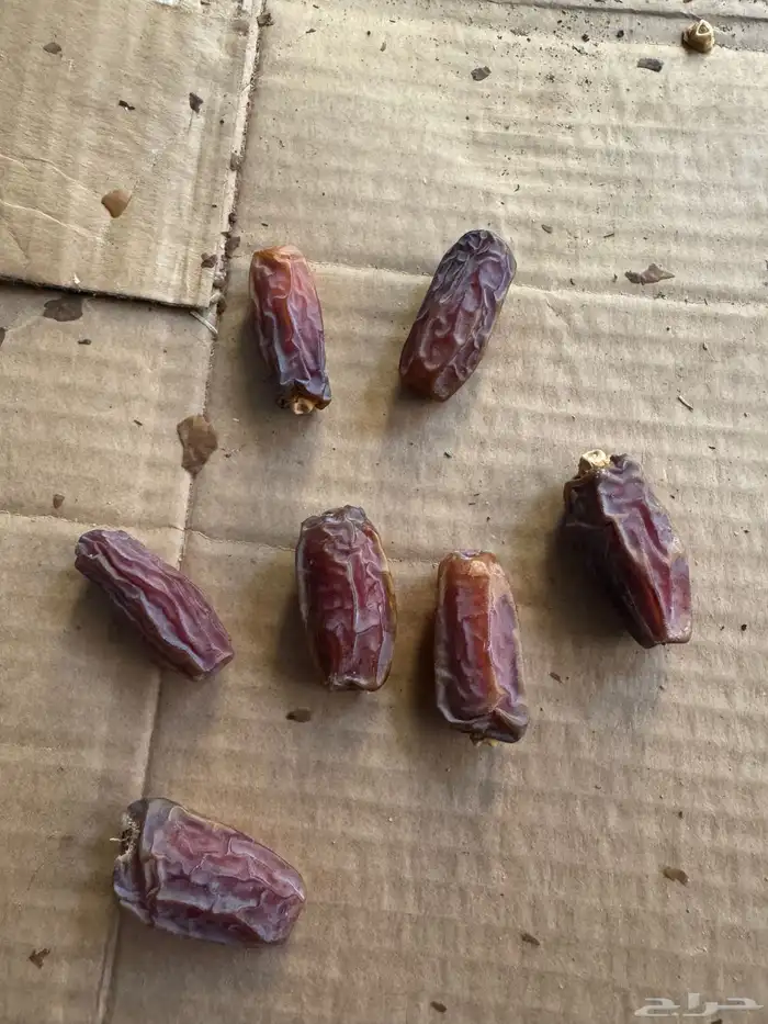 ثمار مزرعه 3