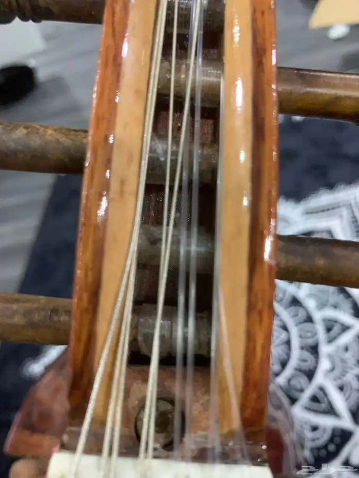 عود زرياب 5