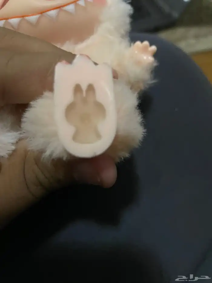 لابوبو للبيع على السوم 2