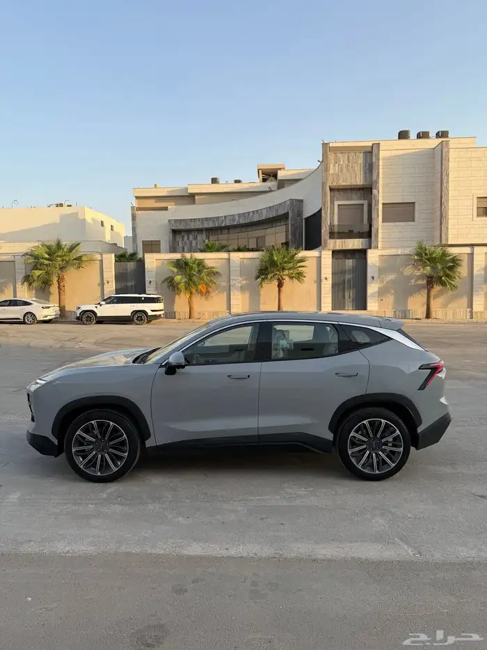 جيتور داشينج 2024 2