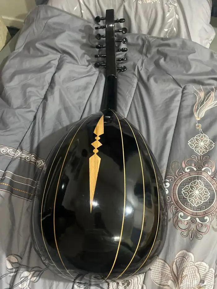 عود مصري 1