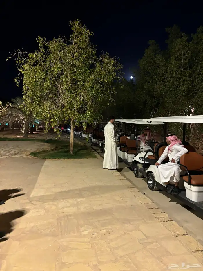 تاجير إيجار عربات قولف كار جولف كار golf cart 2