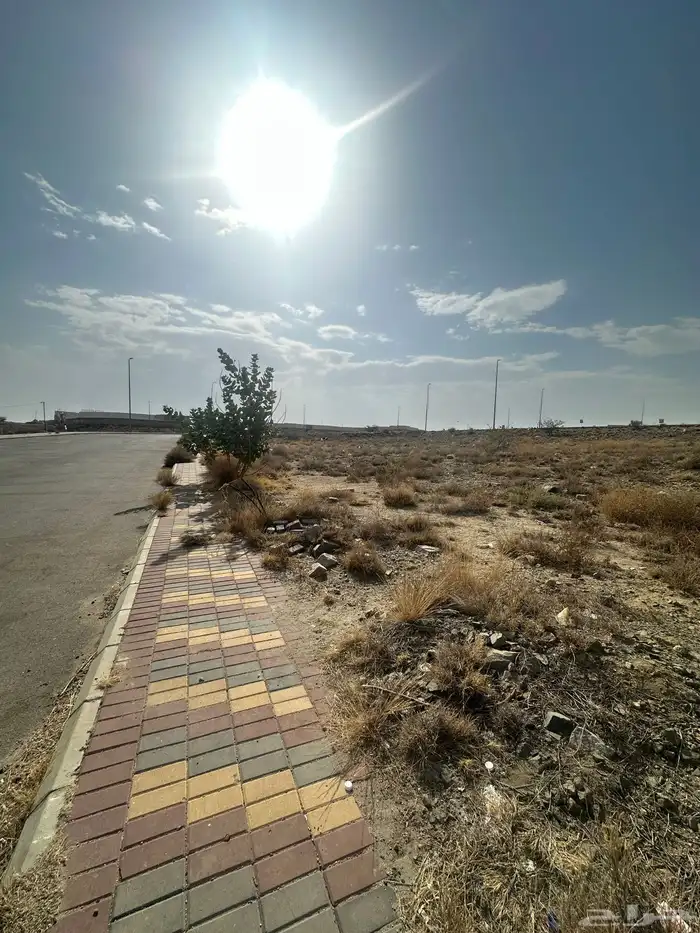 أرض بإطلالة مميزة للاستثمار (فرصة) 0