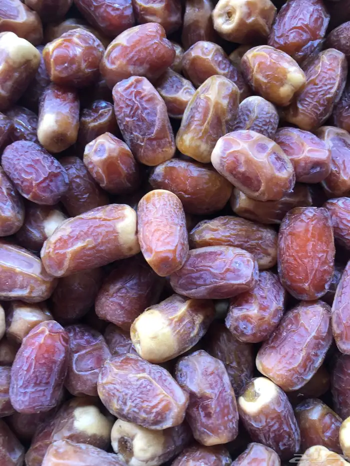 صقعي احمر طيب للبيع 0