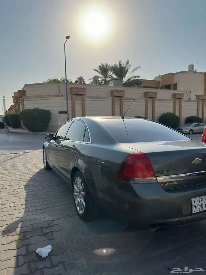 كابرس 2012 5