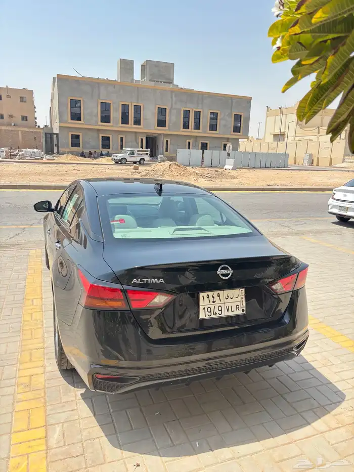 التيماء 2024 5