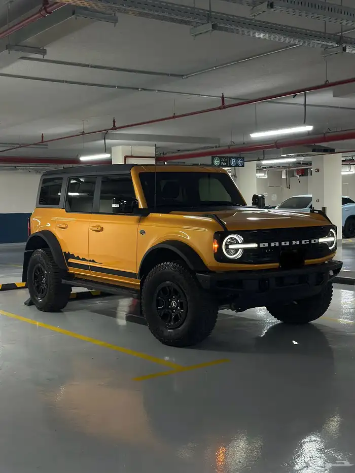برنكو وايلد تراك V6 2021 0