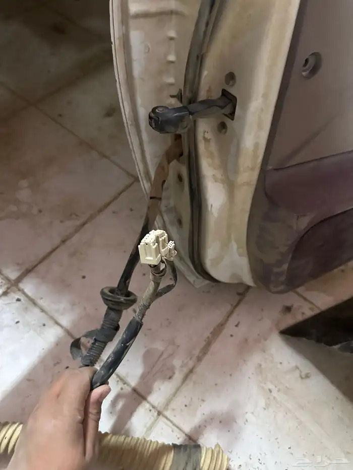 باب ددسن راكب نضيف وكبوت ددسن 3