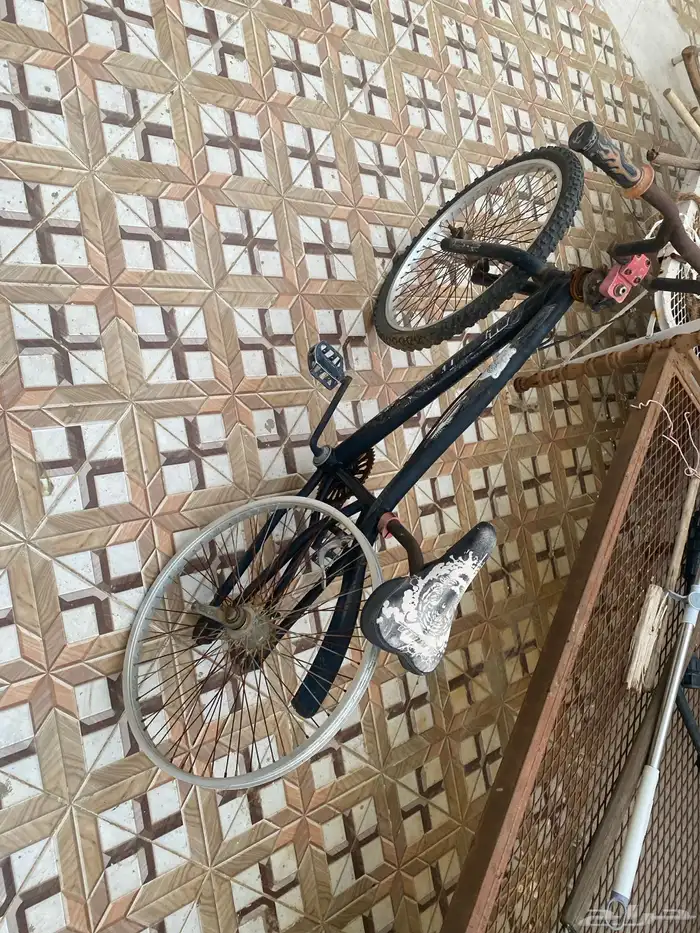 سيكل وعربية للبيع 1