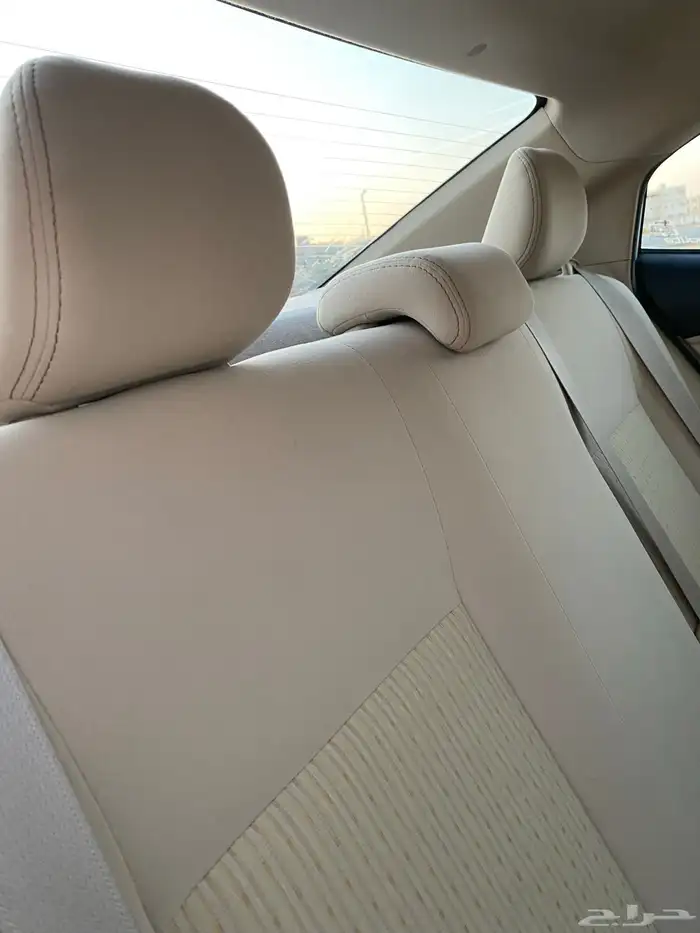 يارس 2019وكاله 29