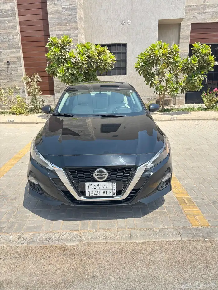 التيماء 2024 1