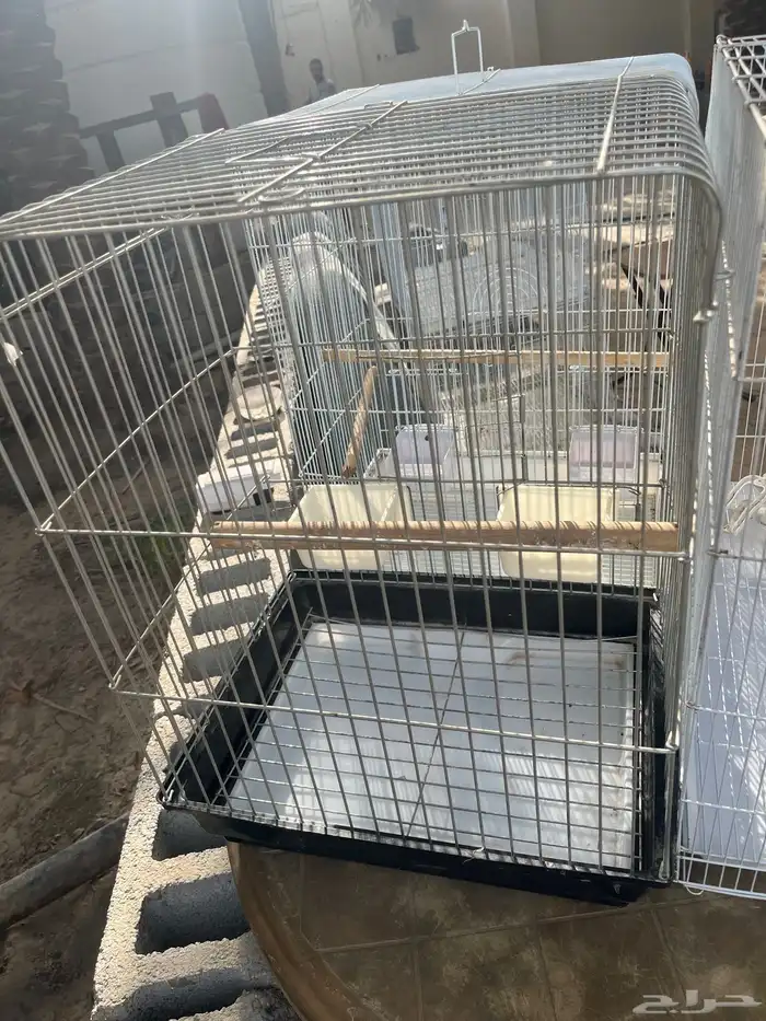 اقفاصه للبيع على على اسوم 0