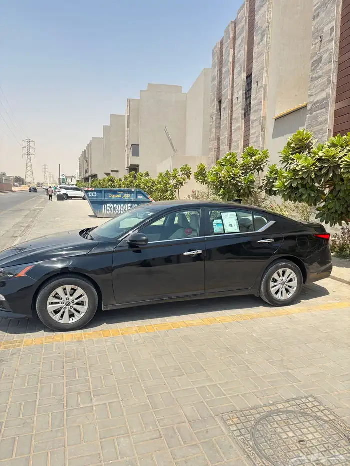 التيماء 2024 4