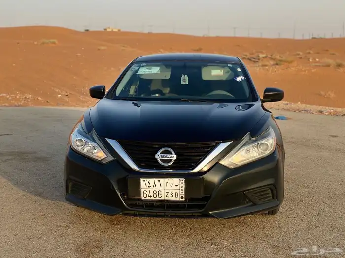 التيماء 2017 0