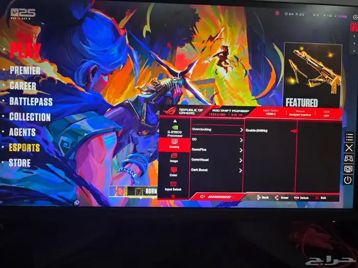 asus rog swift pro pg248qp 540hz شاشه 0