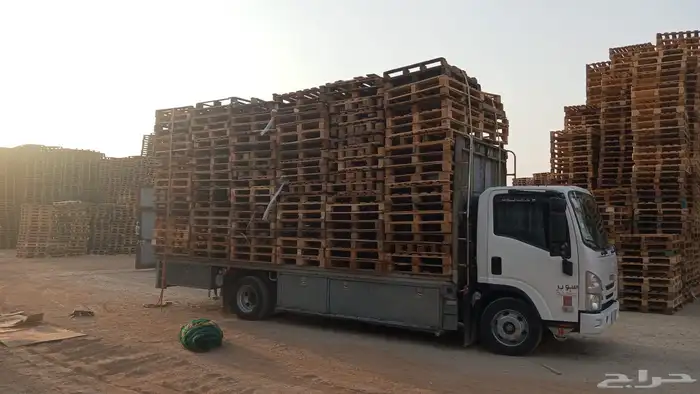 طبليات 16