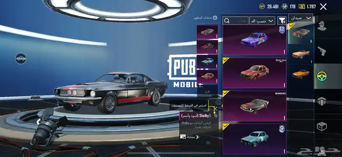 حساب ببجي 14