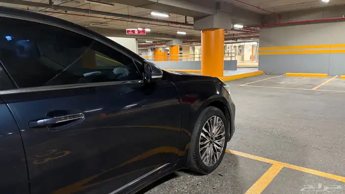 كادينزا 2020 للبيع   CADENZA 2020 For sale 9