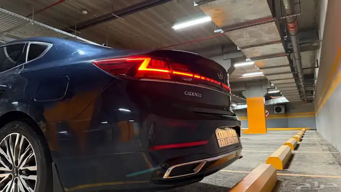 كادينزا 2020 للبيع   CADENZA 2020 For sale 7