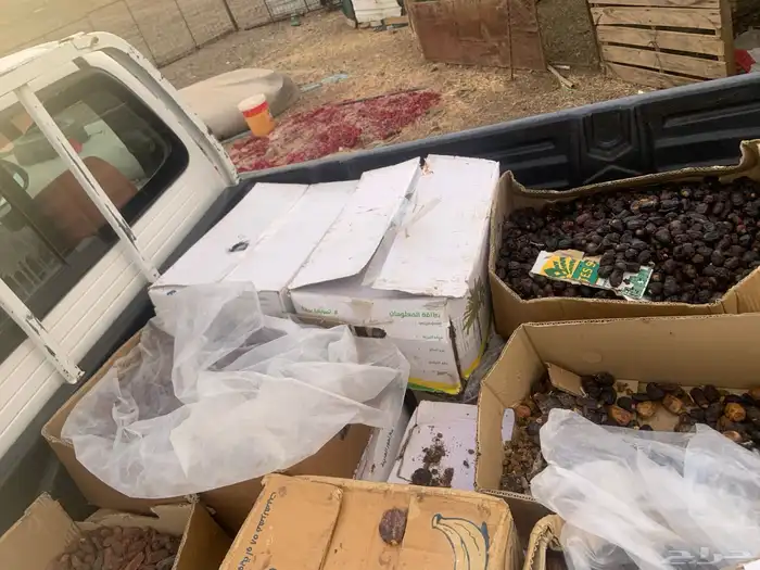 تمركراتين 0