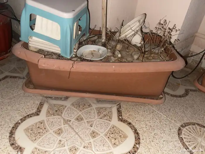 احواض زراعيه كبير 3