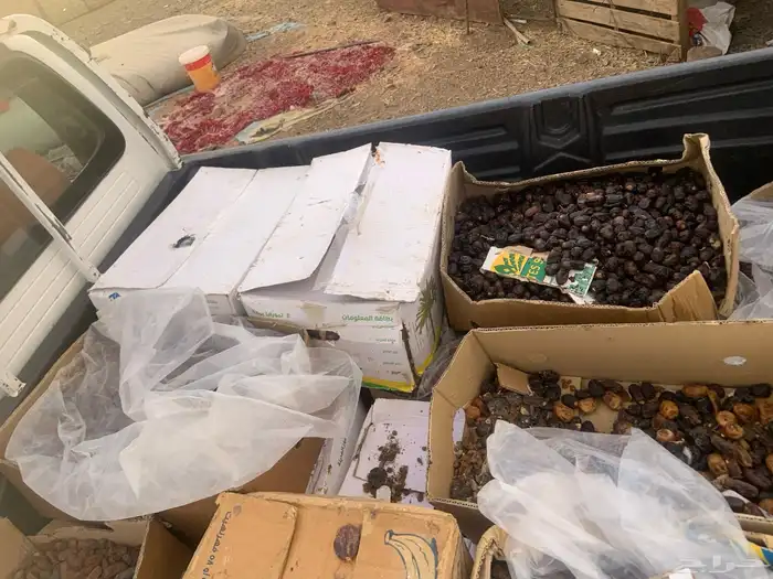 تمركراتين 3