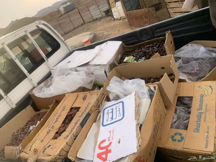 تمركراتين 1