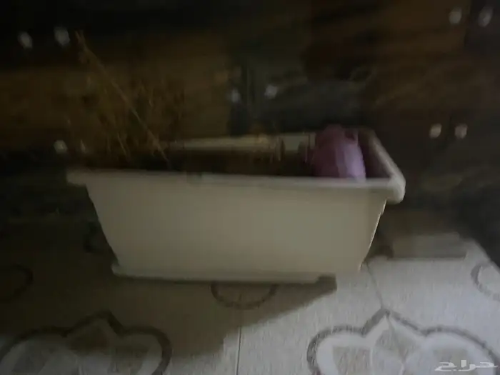 احواض زراعيه كبير 0